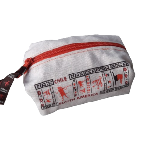 Mini bolso cartera