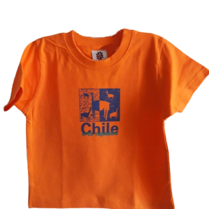 Polera de niños color rupestre