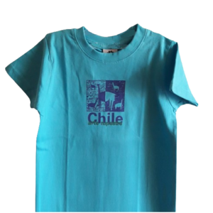 Poleras de niño y joven