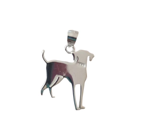 Dije plata perro circon - Imagen 2